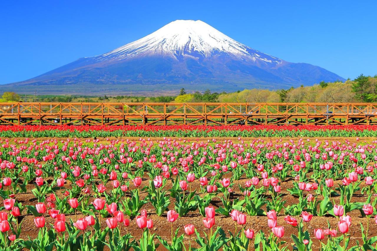 Hatago Tsubakiya Yamanakako Bagian luar foto